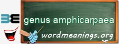 WordMeaning blackboard for genus amphicarpaea